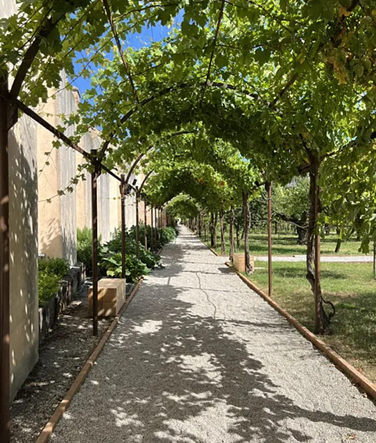 biennale-2026-10