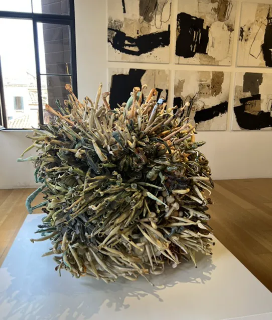 biennale-2026-17