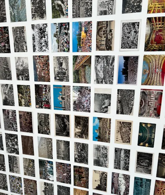 biennale-2026-9
